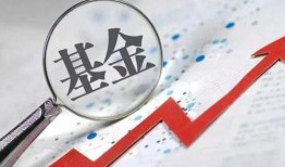 今日基金最新爆料,热点聚焦与投资风向